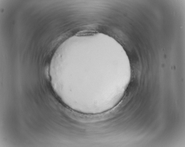 X0000070380047200606301932