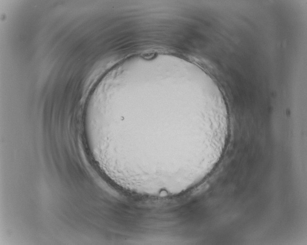 X0000070380049200606301931