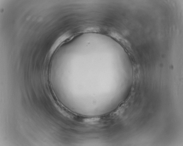 X0000070380051200606301931