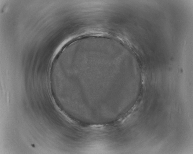 X0000070380052200606301931