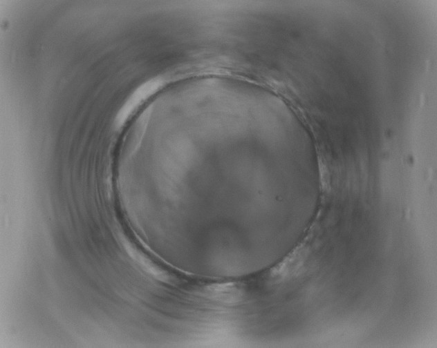 X0000070380054200606301931