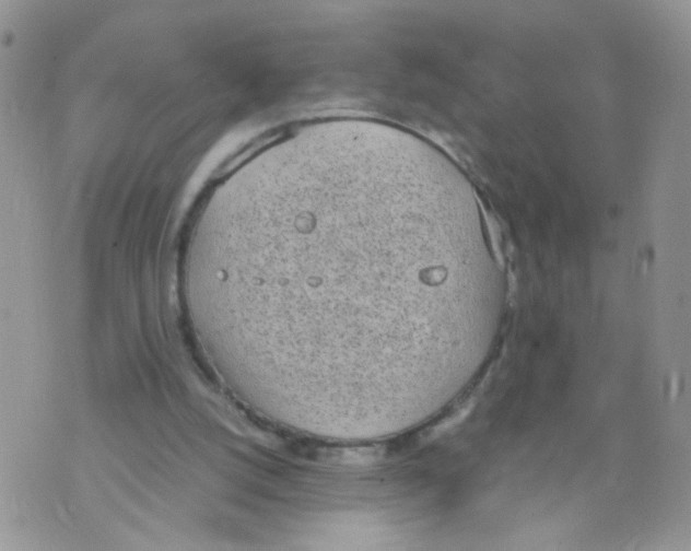 X0000070380056200606301931