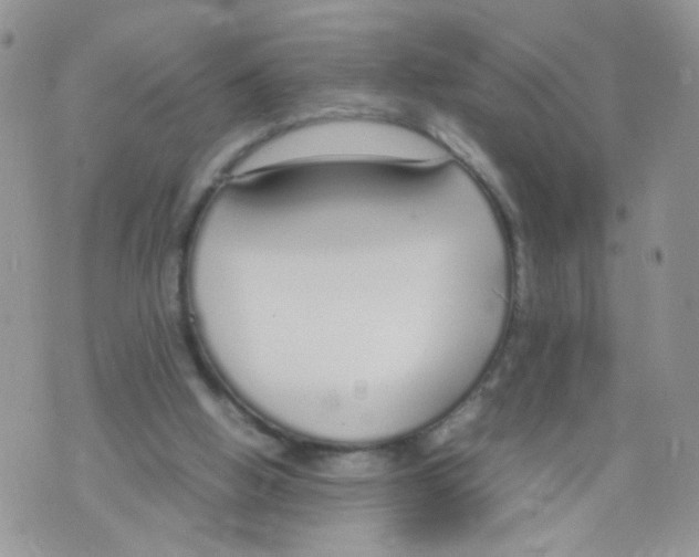 X0000070380058200606301931