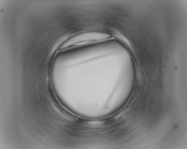 X0000070380059200606301931