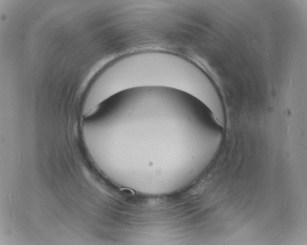 X0000070380060200606301931