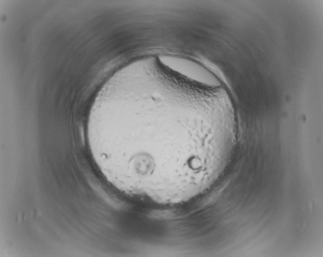 X0000070380061200606301932