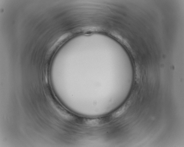 X0000070380062200606301932