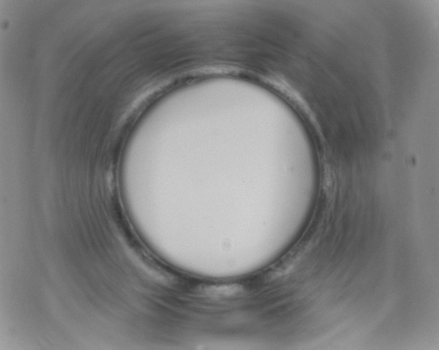 X0000070380063200606301932