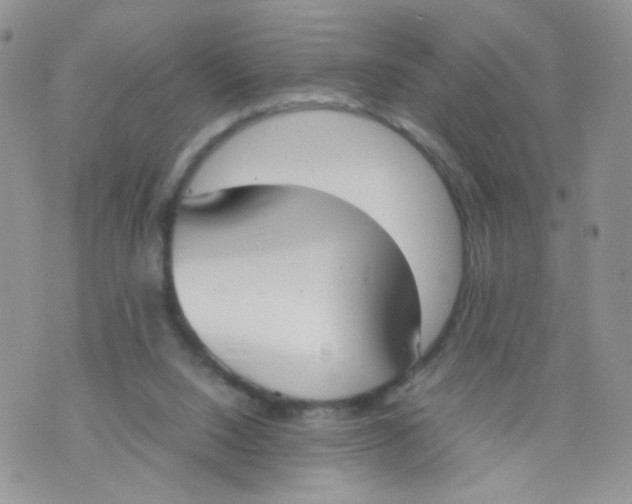 X0000070380064200606301932