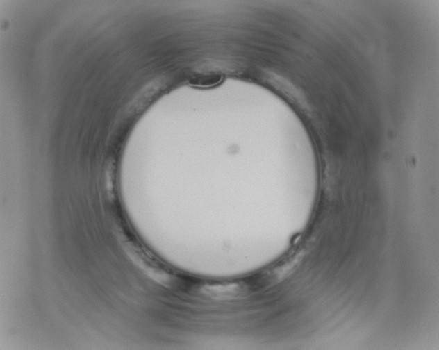 X0000070380065200606301932