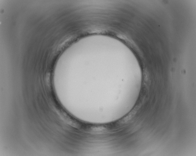 X0000070380066200606301932