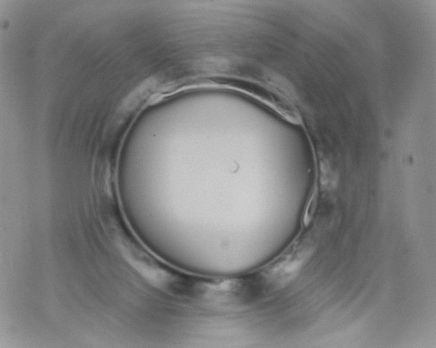 X0000070380068200606301932