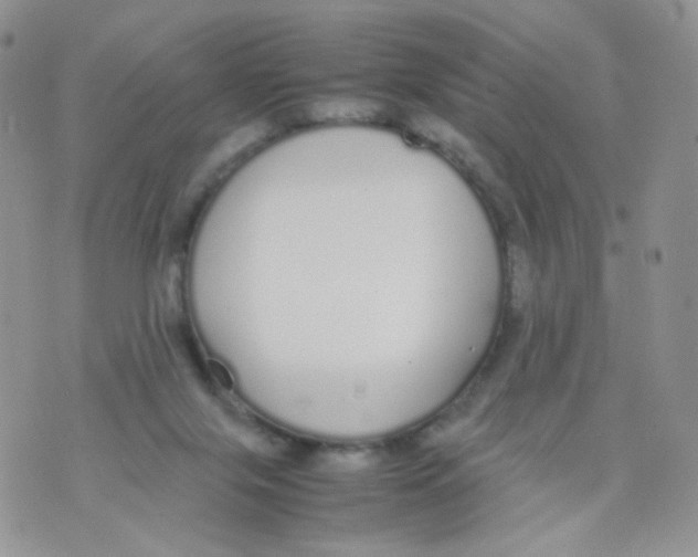 X0000070380071200606301932