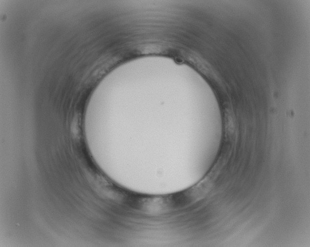 X0000070380074200606301932