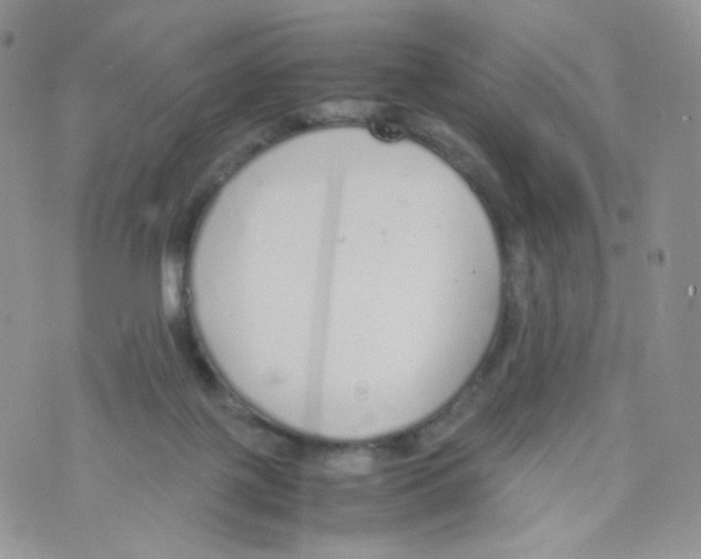 X0000070380075200606301932