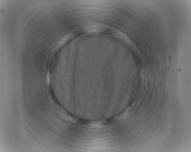 X0000070380076200606301932