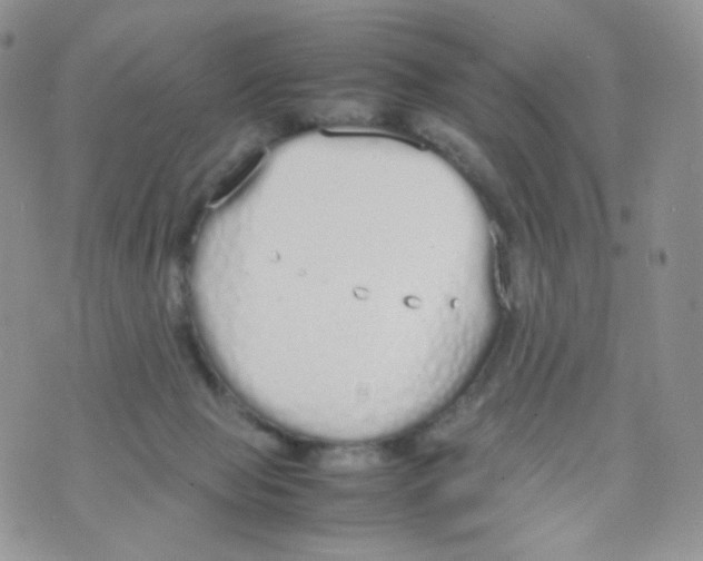 X0000070380077200606301932