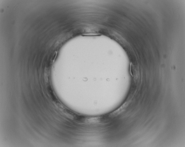 X0000070380078200606301932