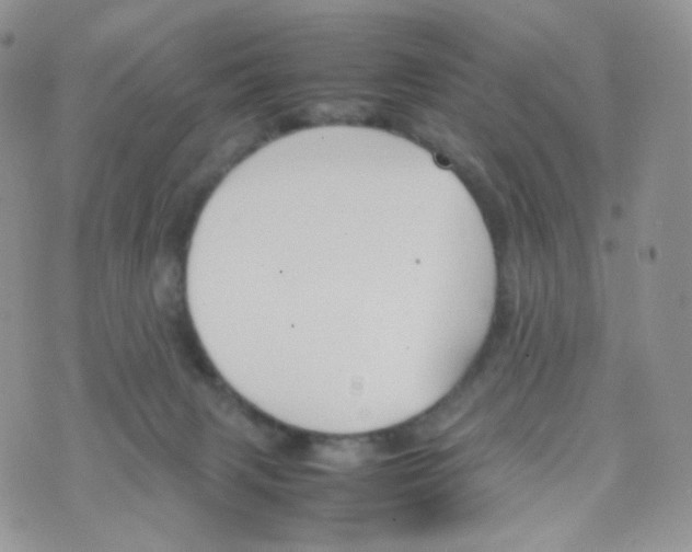 X0000070380079200606301932