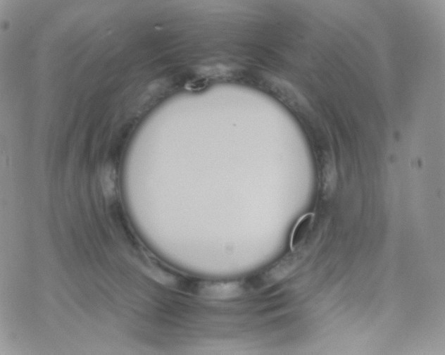 X0000070380081200606301932