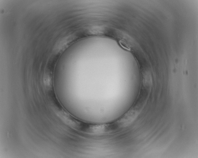 X0000070380084200606301932