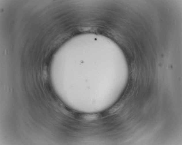 X0000070380085200606301932