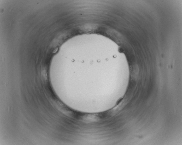 X0000070380086200606301932