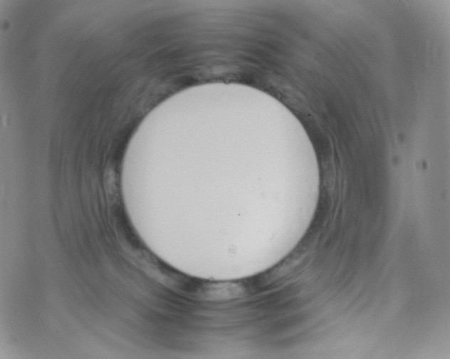 X0000070380087200606301932