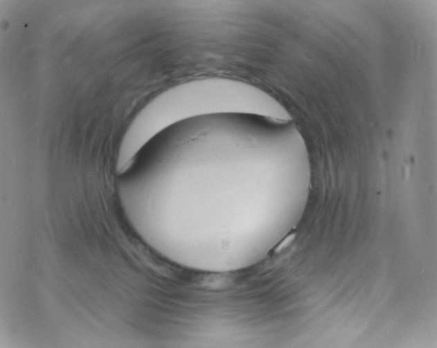 X0000070380088200606301932