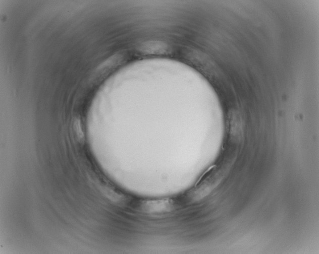 X0000070380089200606301932