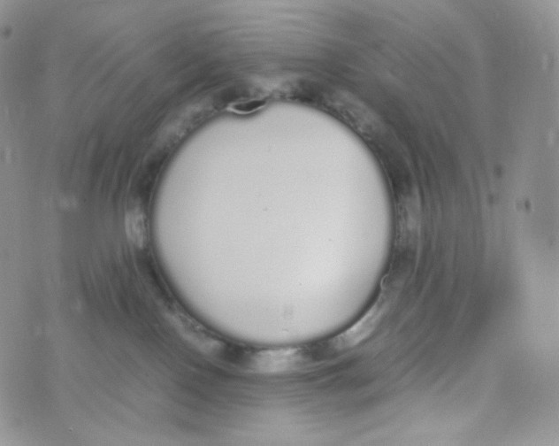 X0000070380090200606301932