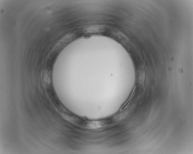 X0000070380091200606301932