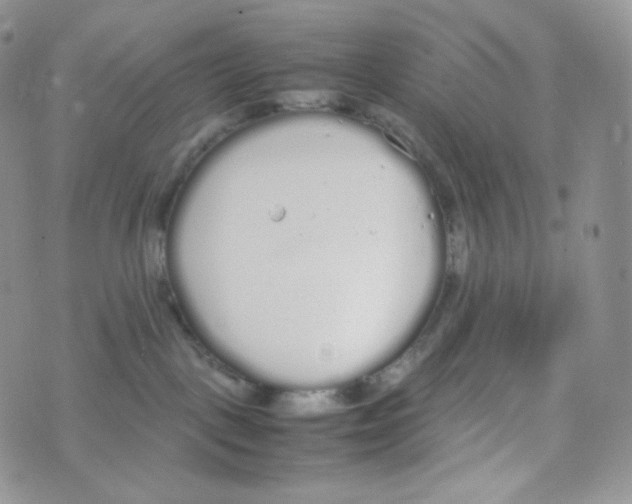 X0000070380093200606301932