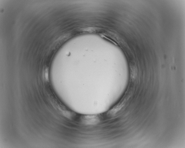 X0000070380095200606301932