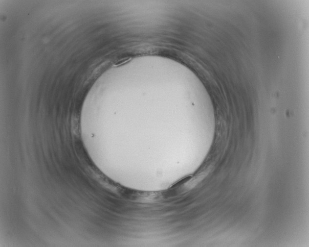 X0000070380096200606301932