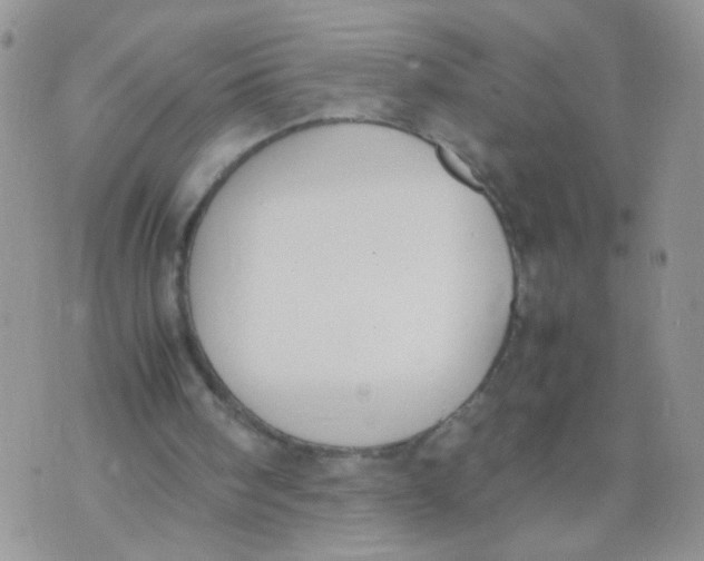 X0000070380098200606301931