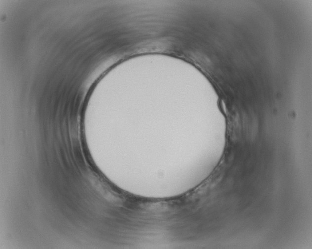 X0000070380100200606301931