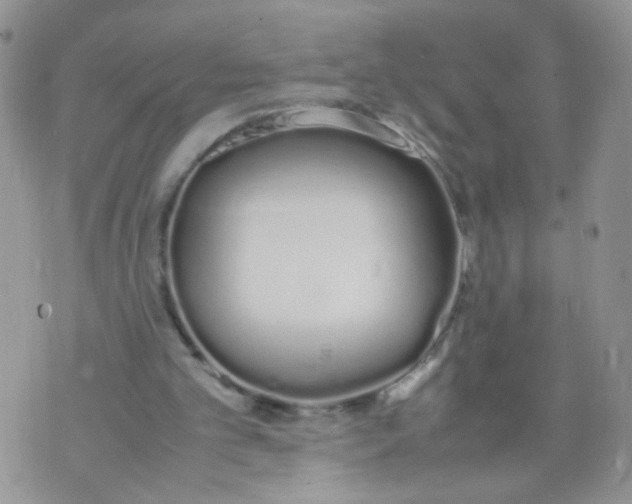 X0000070380101200606301931