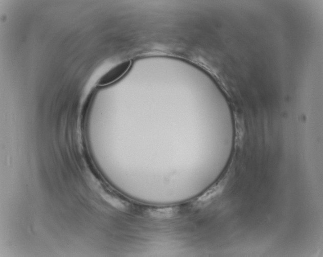 X0000070380102200606301931