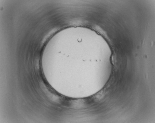 X0000070380106200606301931