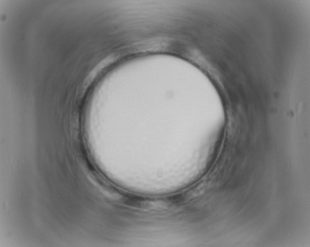 X0000070380107200606301931