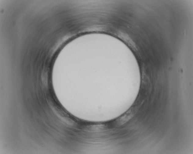 X0000070380108200606301931