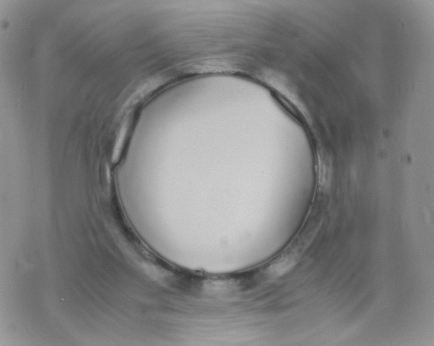 X0000070380109200606301931