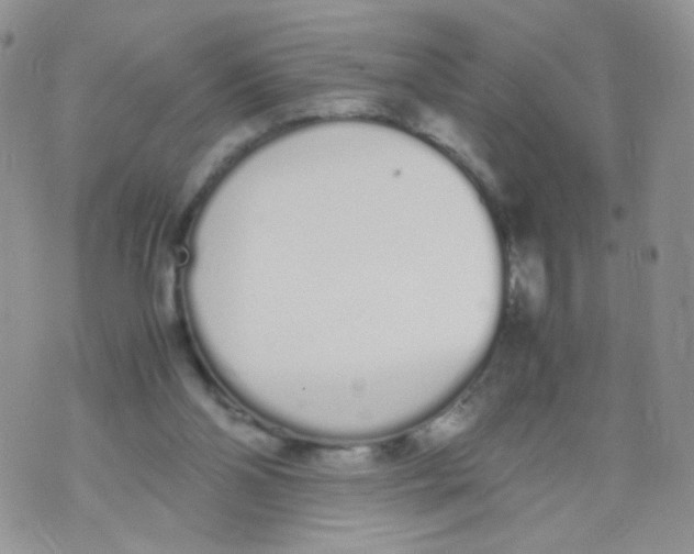 X0000070380110200606301931