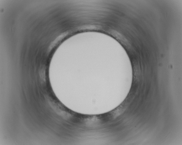 X0000070380112200606301931