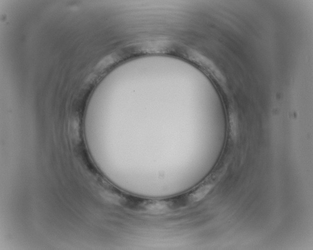 X0000070380113200606301931