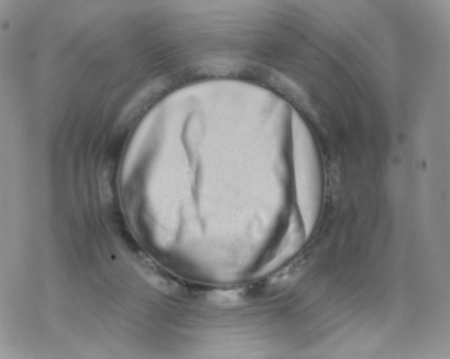 X0000070380114200606301931