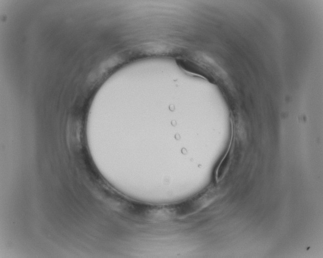 X0000070380115200606301931