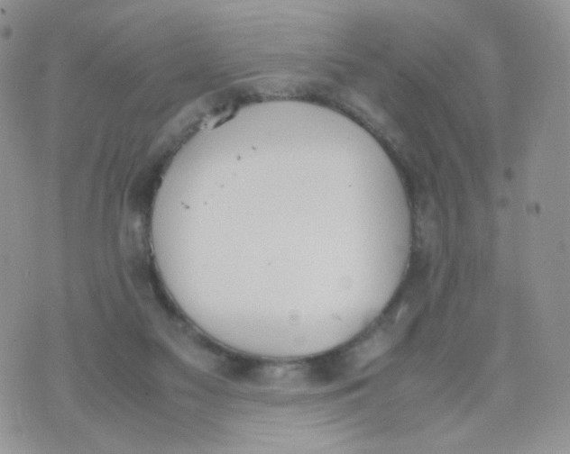 X0000070380117200606301931