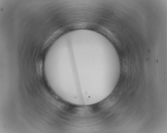 X0000070380118200606301931